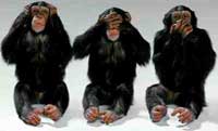 3 chimpansees: doof, blind en stom